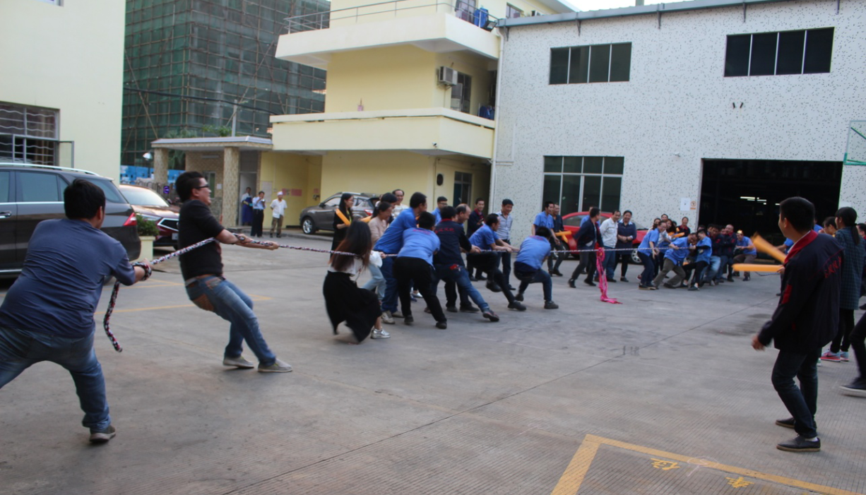 鑫風(fēng)運動會 鑫風(fēng)運動會